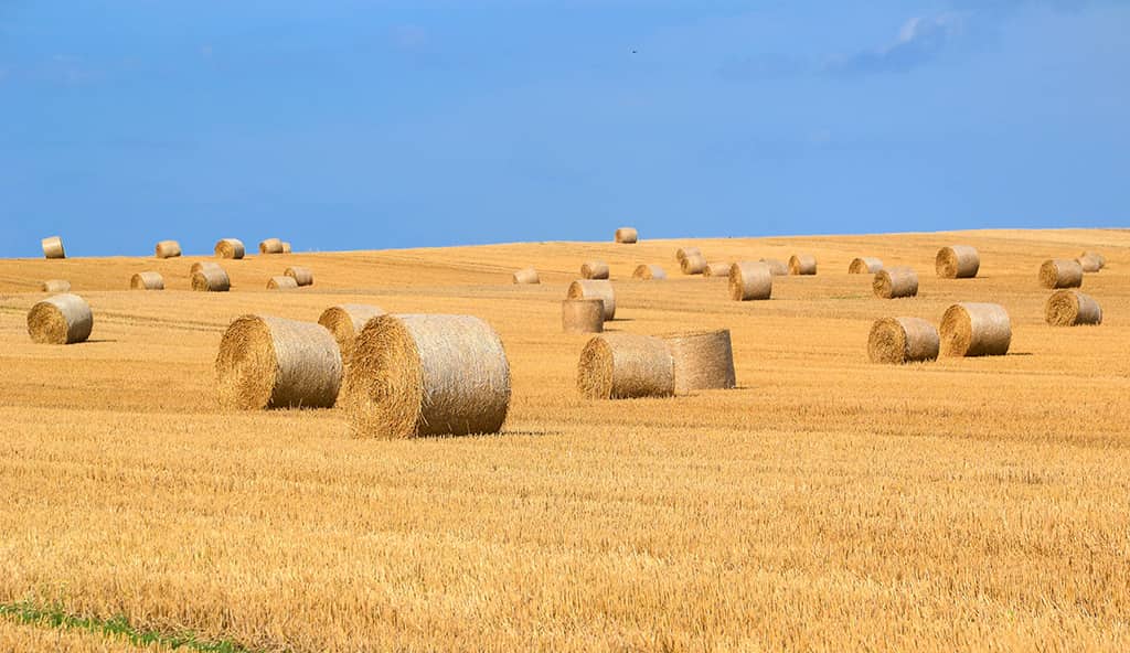 Farming Insurance